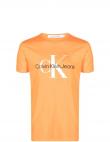 CALVIN KLEIN Jeans vīriešu oranžs T-krekls Seasonal monologo tee
