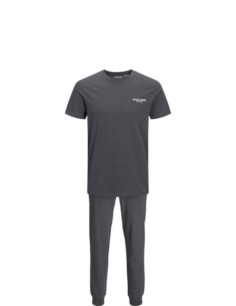 JACK & JONES atpūtas tērps vīriešiem, Pelēka, sport suit 