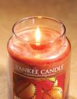 YANKEE CANDLE aromātiskā svece SPICED ORANGE 411 g