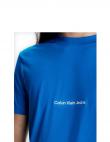 CALVIN KLEIN Jeans vīriešu zils T-krekls Institutional tee