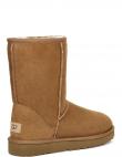 UGG apsildāmi zābaki sievietēm, Brūna, Classic short II warm boots